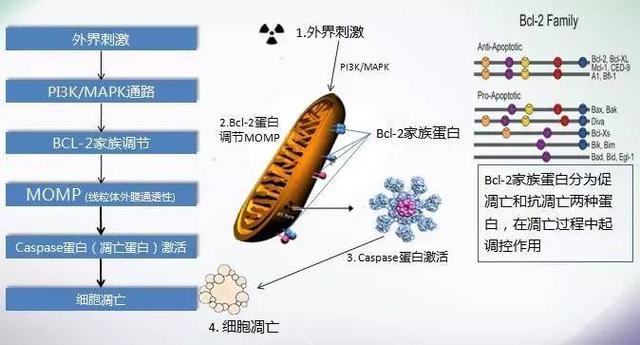 舒之所至，目之所及——阿法舒全国研讨会热点分享
