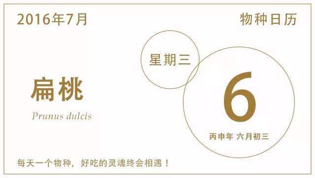 扁桃怎么养（餐桌物种日历7月6日 扁桃）