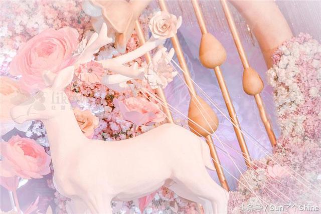 梦幻童话风婚礼《Secret Garden》