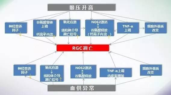舒之所至，目之所及——阿法舒全国研讨会热点分享