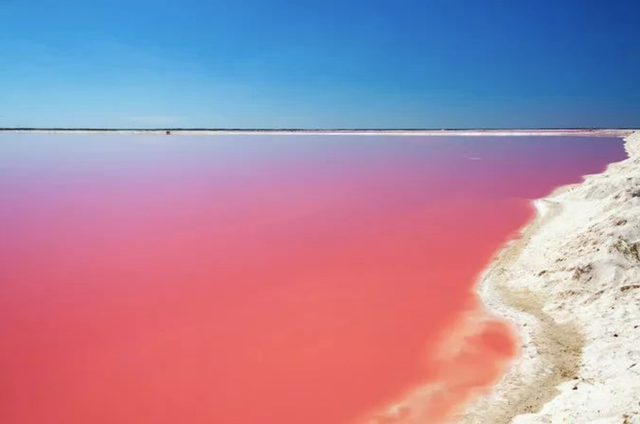 指南丨玛雅遗迹和这片粉红湖 成为你必去尤卡坦的理由