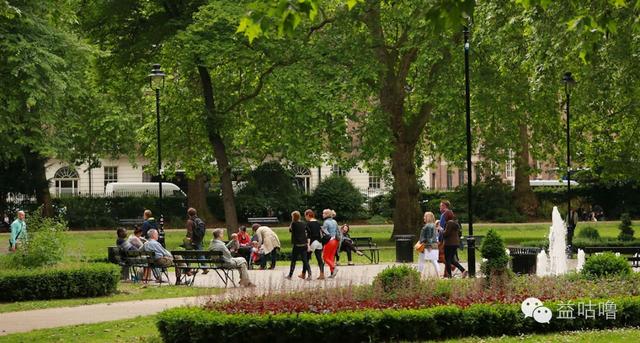 output是什么意思中文翻译（学英语的神总结没有input输入）