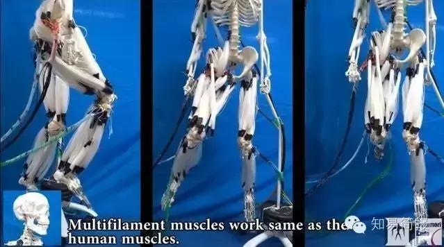 美国政府开始为5G网络分配频谱;华为麦芒5发布 2399元