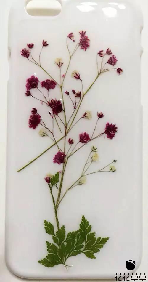 干花滴胶手机壳花变色 2026年干花滴胶手机壳花变色怎么回事