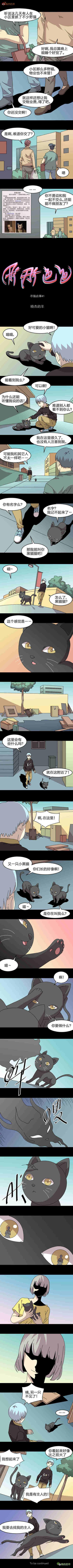 漫画梦幻小黑猫图片（宠物漫画在路边捡到的可爱小黑猫竟然合体了）