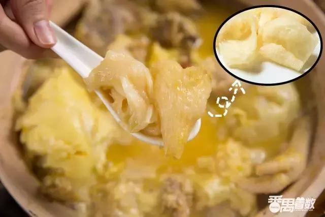 榴莲可以和花胶同食吗 2025年榴莲跟花胶可以一起煲鸡汤吗