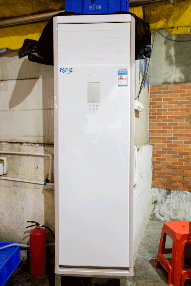 榴莲可以和花胶同食吗 2025年榴莲跟花胶可以一起煲鸡汤吗