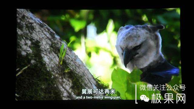 把这个“MM”放在家，小电影想怎么看就怎么看