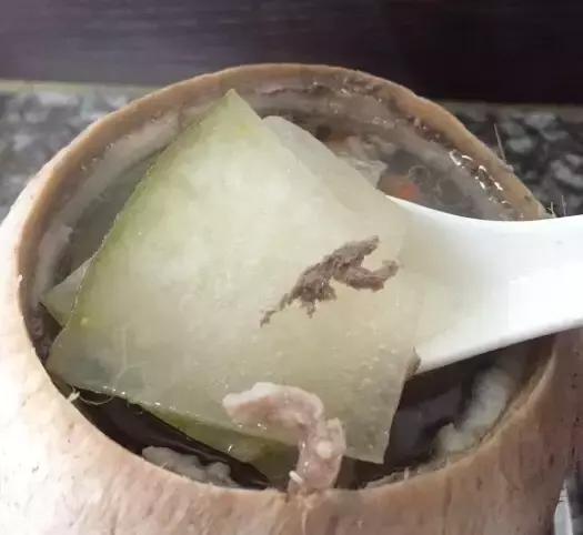 灵芝花胶瘦肉煲鸡汤 灵芝花胶瘦肉煲鸡汤的做法