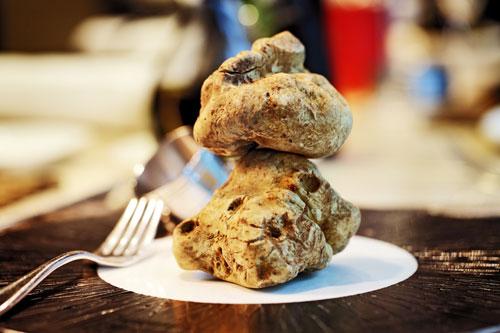 鸡花胶海马 2026年海马花胶煲汤最佳配方