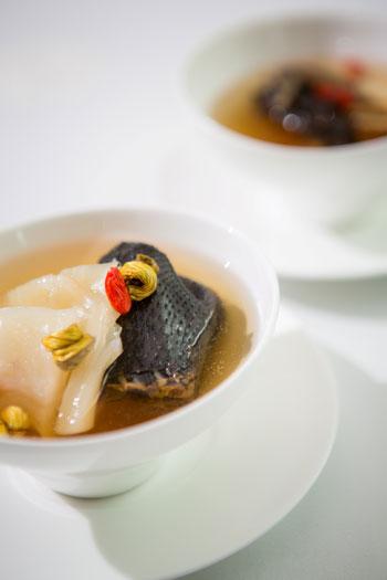 鸡花胶海马 2026年海马花胶煲汤最佳配方