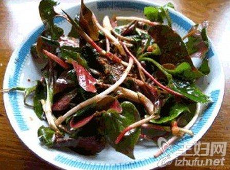 鱼腥草的功效与作用 鱼腥草的吃法