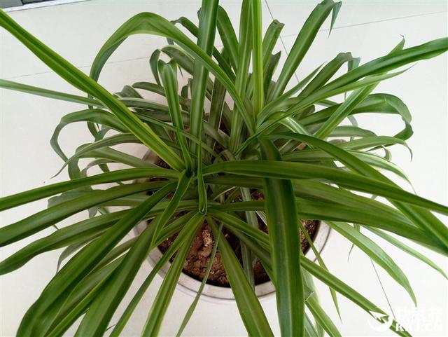 1999元新梦想！魅族MX6评测：有点纠结