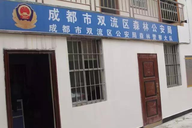双流大妈“拯救鳄鱼”行动！