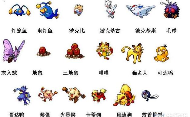 《宠物小精灵》进化图鉴，总有你不知道的哦