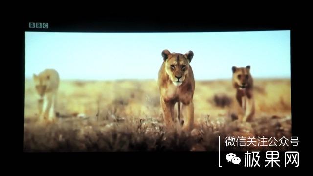 把这个“MM”放在家，小电影想怎么看就怎么看