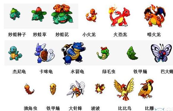 老版本宠物小精灵（宠物小精灵进化图鉴）