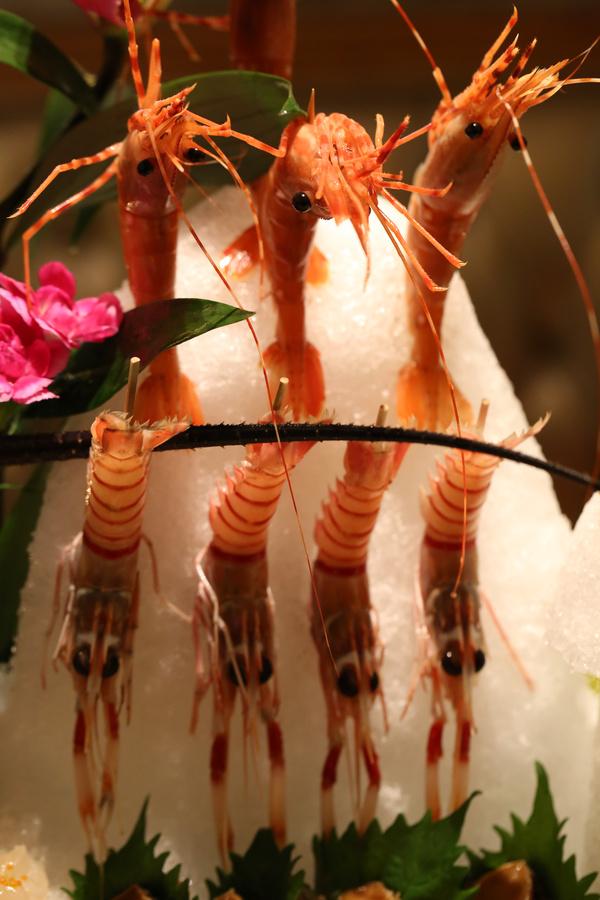 花胶低血压可以吃吗 2026年花胶低血压可以吃吗百度百科 花胶低血压可以吃吗 2026年花胶低血压可以吃吗百度百科