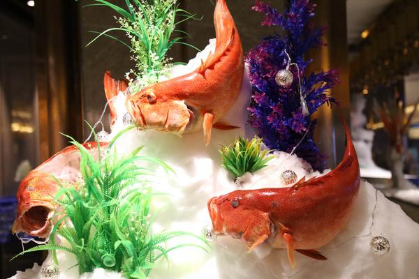 怀孕十六周低血压吃花胶好吗 2026年孕妇血压低可以吃花生吗