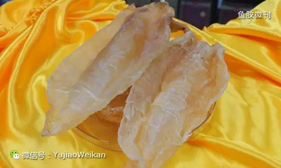 花胶对什么好 2026年花胶对身体的好处