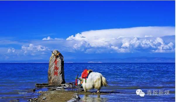 生态资产青海答卷：红红的太阳，蓝蓝的天，清清的青海湖一望无边！