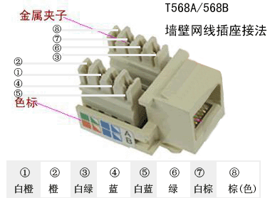 家用网线插座接法图解（这才是安装网线插座的正确流程看看你家电工做对了没）
