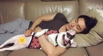 “崔始源”的狗“8个c”—你是怎么做到表情神同步的!