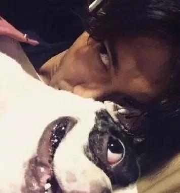 “崔始源”的狗“8个c”—你是怎么做到表情神同步的!