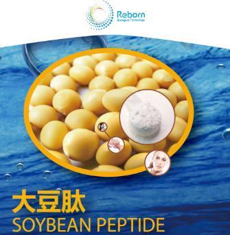 大豆低聚肽的作用与功效 2026年大豆低聚肽的作用与功效禁忌