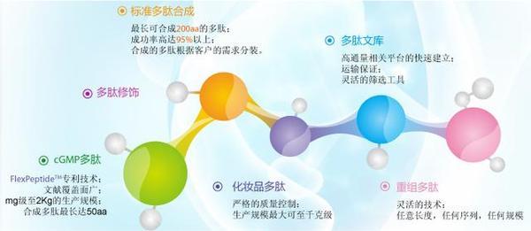 大豆低聚肽的作用与功效 2026年大豆低聚肽的作用与功效禁忌