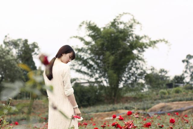 遗忘之山秋攻略（山野花道820花艺公益课火热报名中）