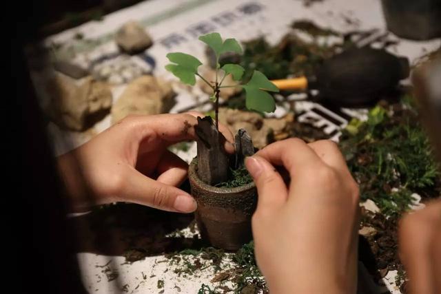 山野花道 | 8.20花艺公益课火热报名中