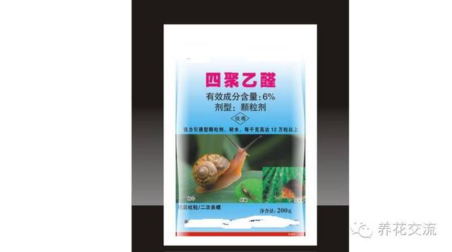 如何对付植物上讨厌的鼻涕虫和蜗牛？