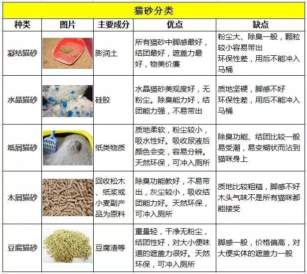 你的猫砂买对了吗？猫砂该怎么买？这里有份史上最全猫砂指南