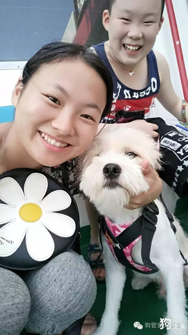 带着狗狗去嵊泗岛海边超全攻略！（其实是篇游记）