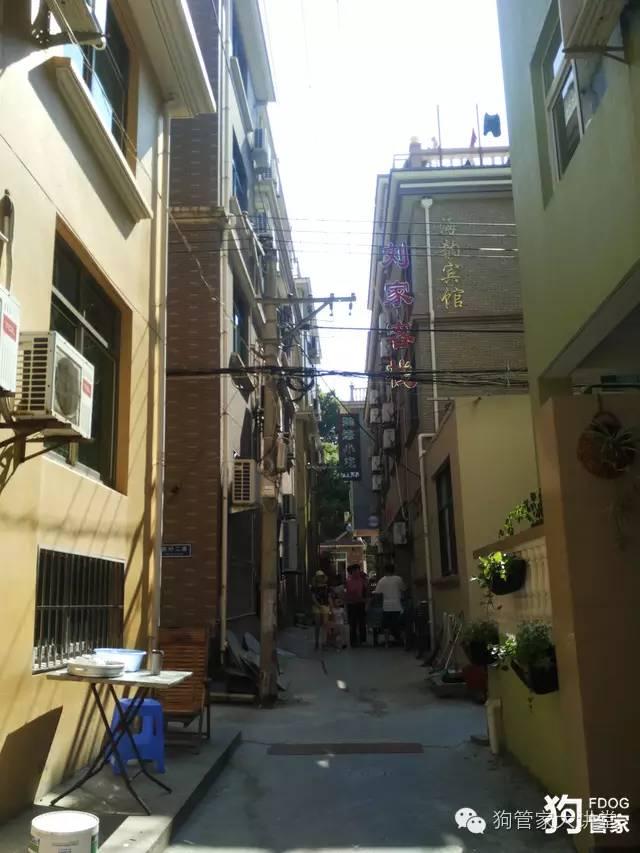 带着狗狗去嵊泗岛海边超全攻略！（其实是篇游记）