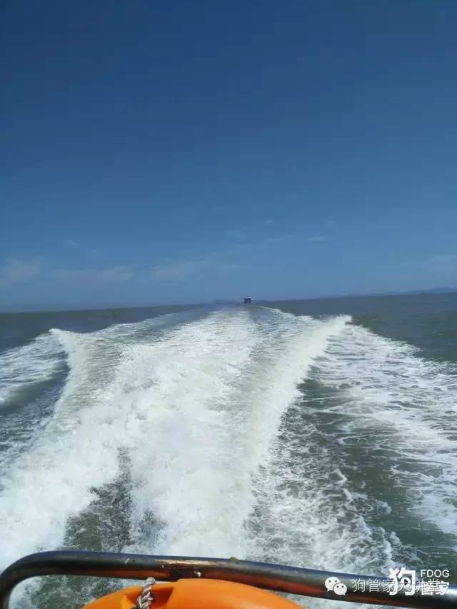 带着狗狗去嵊泗岛海边超全攻略！（其实是篇游记）