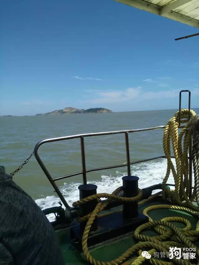 带着狗狗去嵊泗岛海边超全攻略！（其实是篇游记）