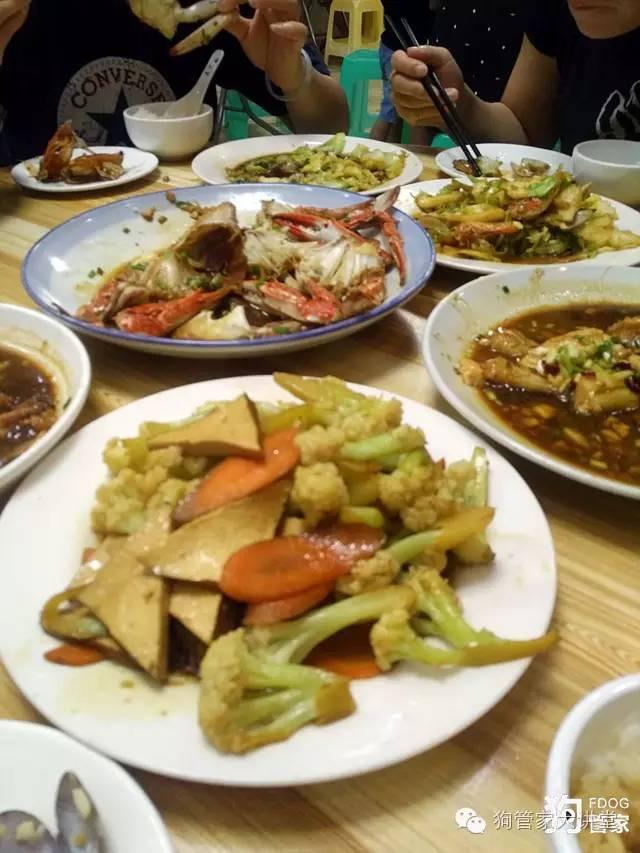 带着狗狗去嵊泗岛海边超全攻略！（其实是篇游记）