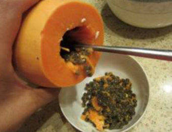 花胶椰汁芒果冻 花胶芒果奶冻的做法