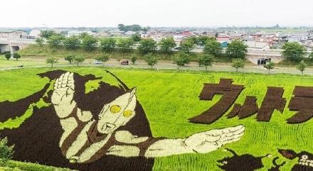 岛国人民真会玩，青森老农农田神还原漫画