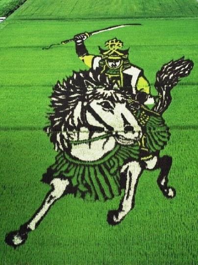 岛国人民真会玩，青森老农农田神还原漫画