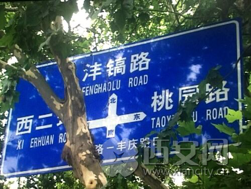 三点水加丰是什么字（到底是丰还是沣傻傻分不清）