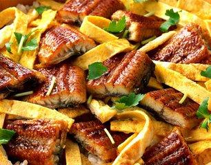 关于蛇肉的好处和禁忌（蛇肉的营养价值高不高）