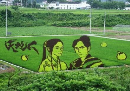 岛国人民真会玩，青森老农农田神还原漫画