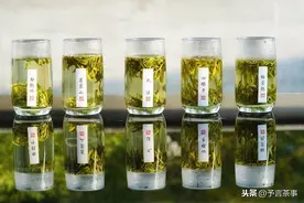 50元一斤的茶叶和50000元一斤的茶叶，到底有何区别？答案来了！图片