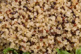 藜麦真的是有利于控制体重的“超级食物”吗？图片