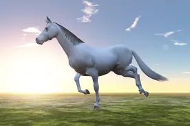 骑着白马的不一定是王子，也可能是丁真。那白马王子的英文是什么图片