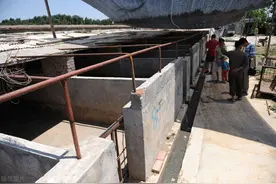 准备养猪前，进猪的这两大知识需掌握图片