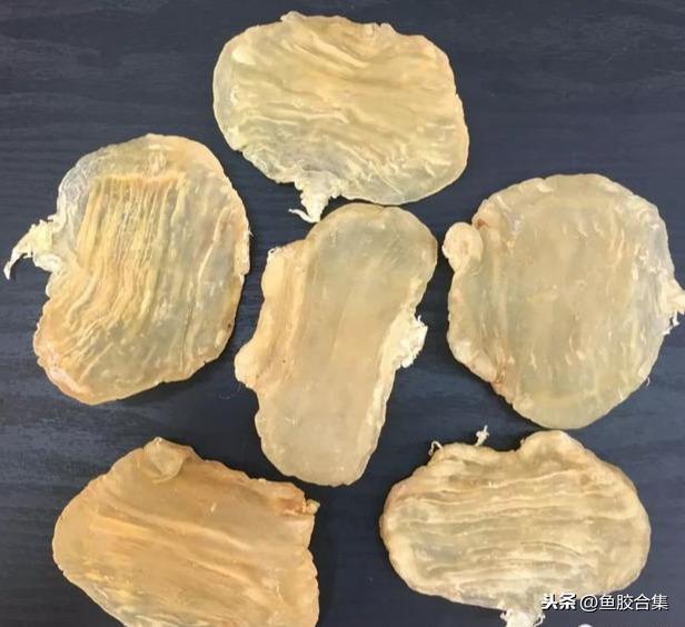 蜘蛛肚花胶价格 2026年蜘蛛片花胶